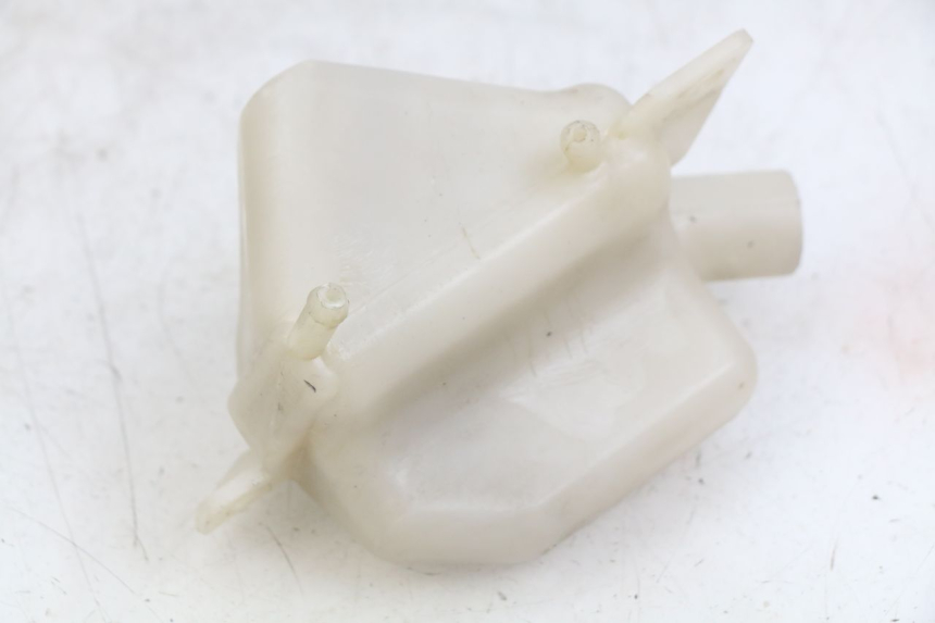 photo de AUSGLEICHSBEHÄLTER APRILIA SCARABEO LIGHT 125 (2007 - 2011) - Alternative Perspektive