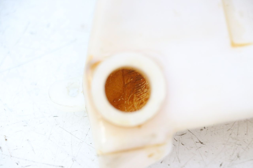 photo de KÜHLWASSERBEHÄLTER TRIUMPH SPRINT 900 (1995 - 1998) - Alternative Perspektive