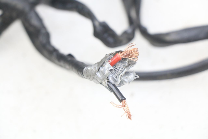 photo de STANDLICHT HONDA CB R 1000 (2018 - 2023) - Charakteristische Merkmale