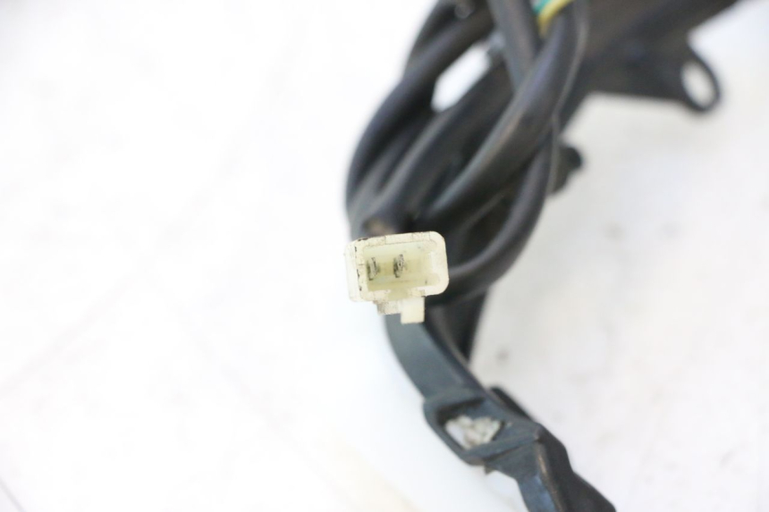 photo de STANDLICHT PEUGEOT KISBEE 4T 50 (2018 - 2022) - Alternative Perspektive