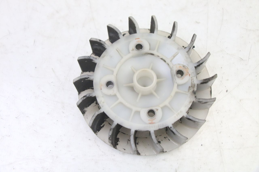 photo de LüFTER PEUGEOT ELYSTAR 50 (2002 - 2014) - Zoom auf Gebrauchszustand