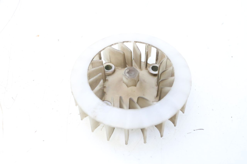 photo de VENTILATOR JM MOTORS F45i 4T 50 (2020 - 2023) - Zoom auf Gebrauchszustand