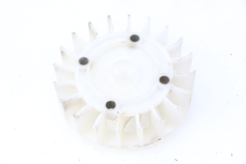 photo de LüFTER JM MOTORS OLDIES 4T 50 (2010 - 2020) - Zoom auf Gebrauchszustand