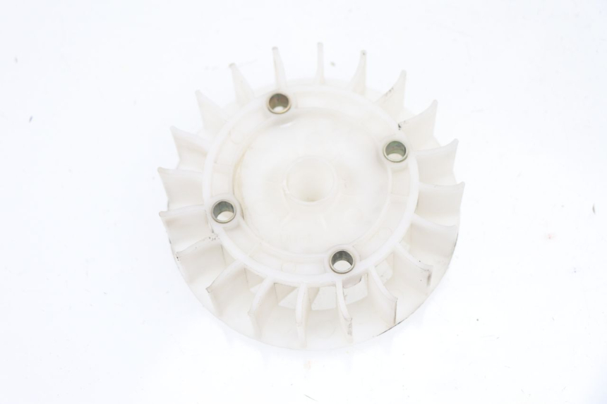 photo de VENTILATOR JM MOTORS VIPER 4T 50 (2015 - 2022) - Detailansicht des Bauteils