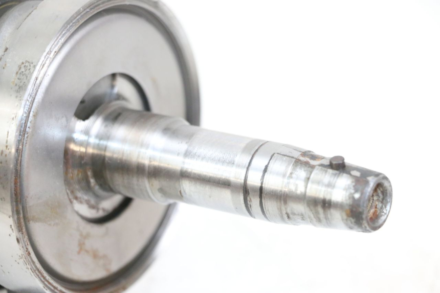 photo de KURBELWELLE REGAL RAPTOR RAXTER 2 125 (2007 - 2015) - Charakteristische Merkmale