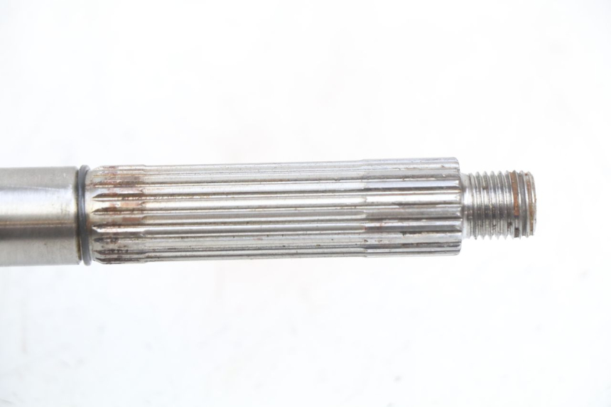 photo de KURBELWELLE PIAGGIO VESPA LXV 125 (2006 - 2009) - Zoom auf Gebrauchszustand