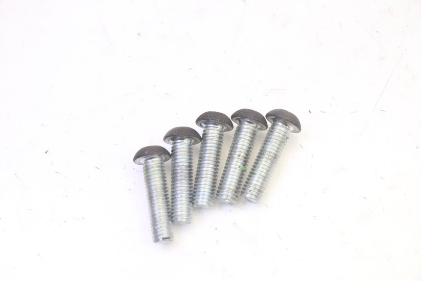 photo de BREMSSCHEIBENSCHRAUBE PEUGEOT CITYSTAR 50 (2013 - 2017) - Zoom auf Gebrauchszustand