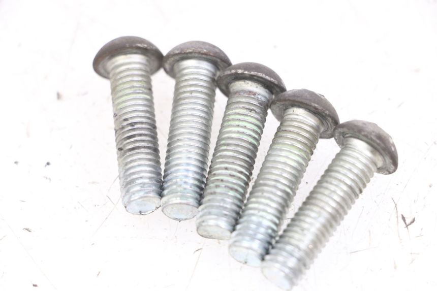 photo de BREMSSCHEIBENSCHRAUBE PEUGEOT GEOPOLIS RS 125 (2007 - 2009) - Zoom auf Gebrauchszustand