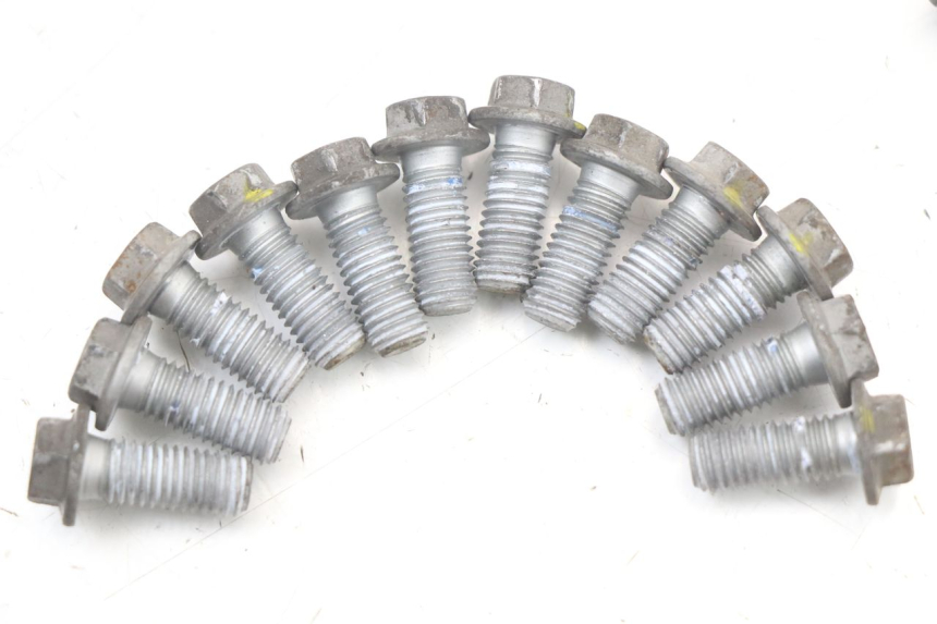 photo de BREMSSCHEIBENSCHRAUBE MOTO GUZZI NORGE 8V GT 1200 (2011 - 2016) - Zoom auf Gebrauchszustand