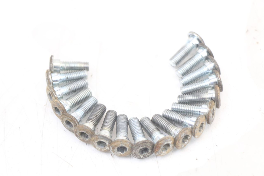 photo de BREMSSCHEIBENSCHRAUBE REGAL RAPTOR RAXTER 2 125 (2007 - 2015) - Hauptansicht