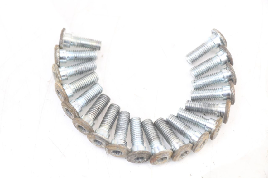 photo de BREMSSCHEIBENSCHRAUBE REGAL RAPTOR RAXTER 2 125 (2007 - 2015) - Detailansicht des Bauteils